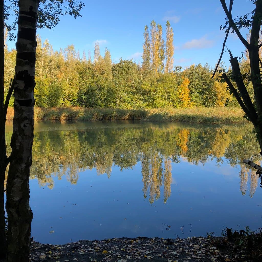 Great Notley Country Park