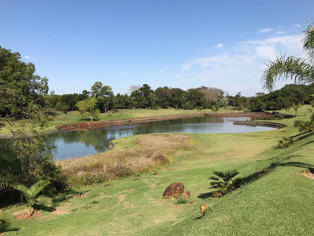 The pond..