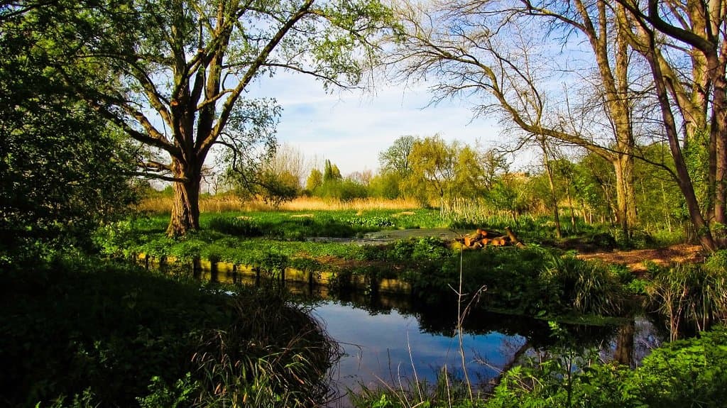 Morden Hall Park