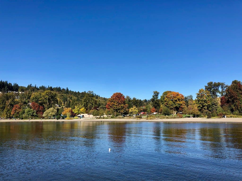 view of the park from the pier