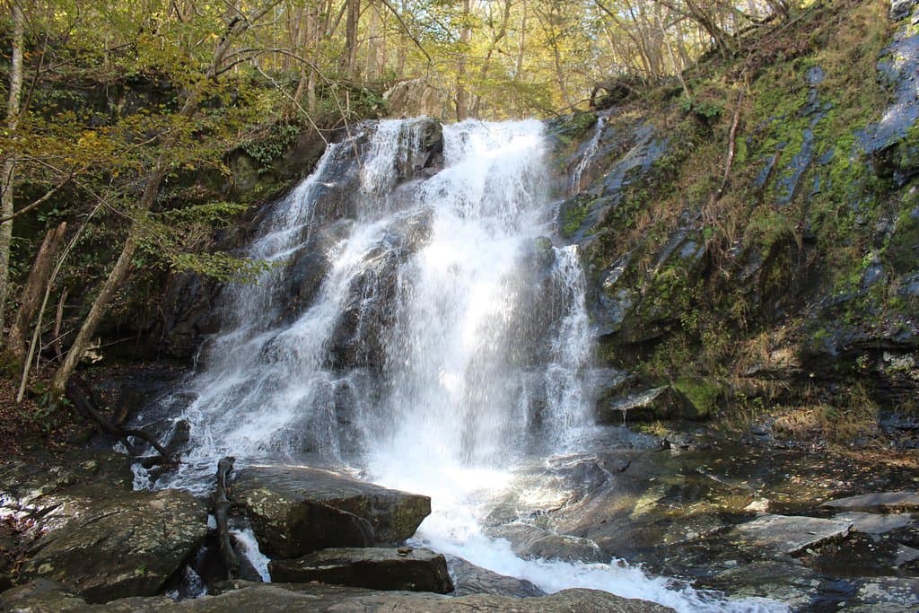 Jones Run Falls