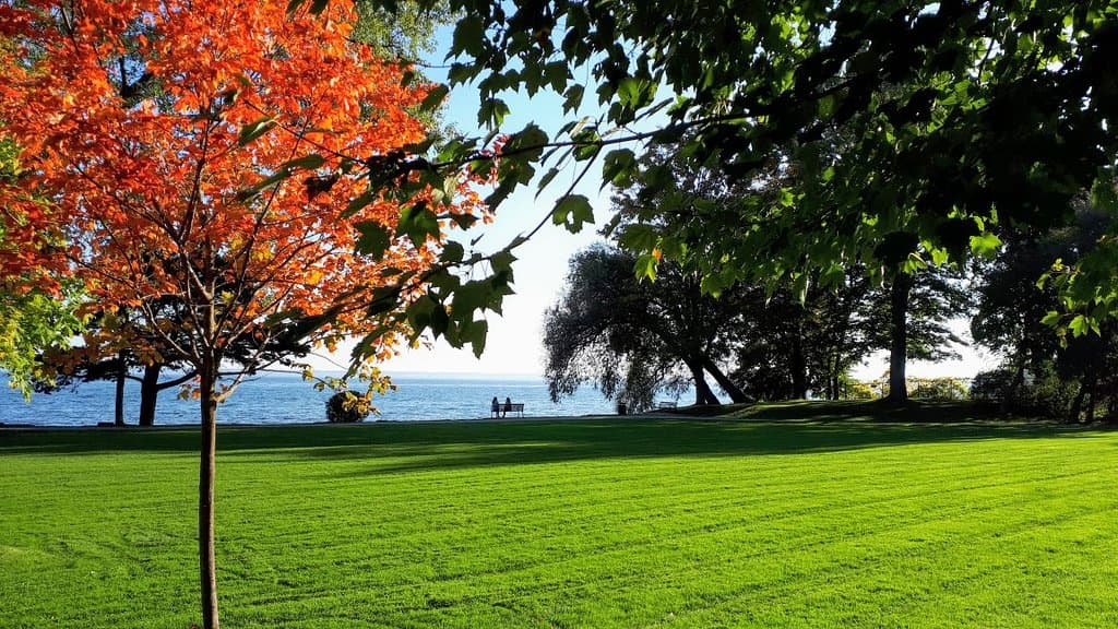 Paletta Lakefront Park and Mansion