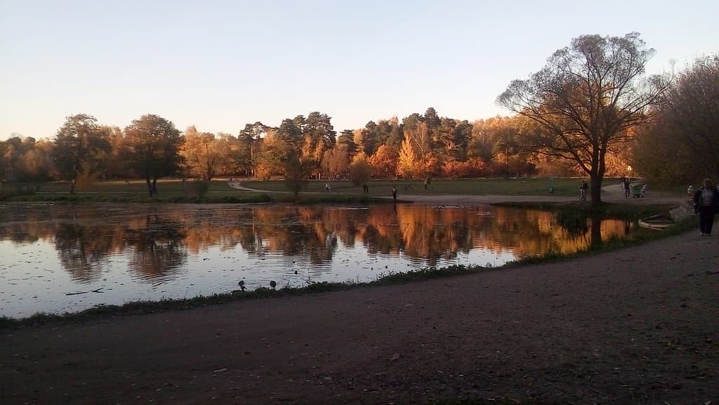 Край Верхнего пруда в усадьбе Кузьминки.