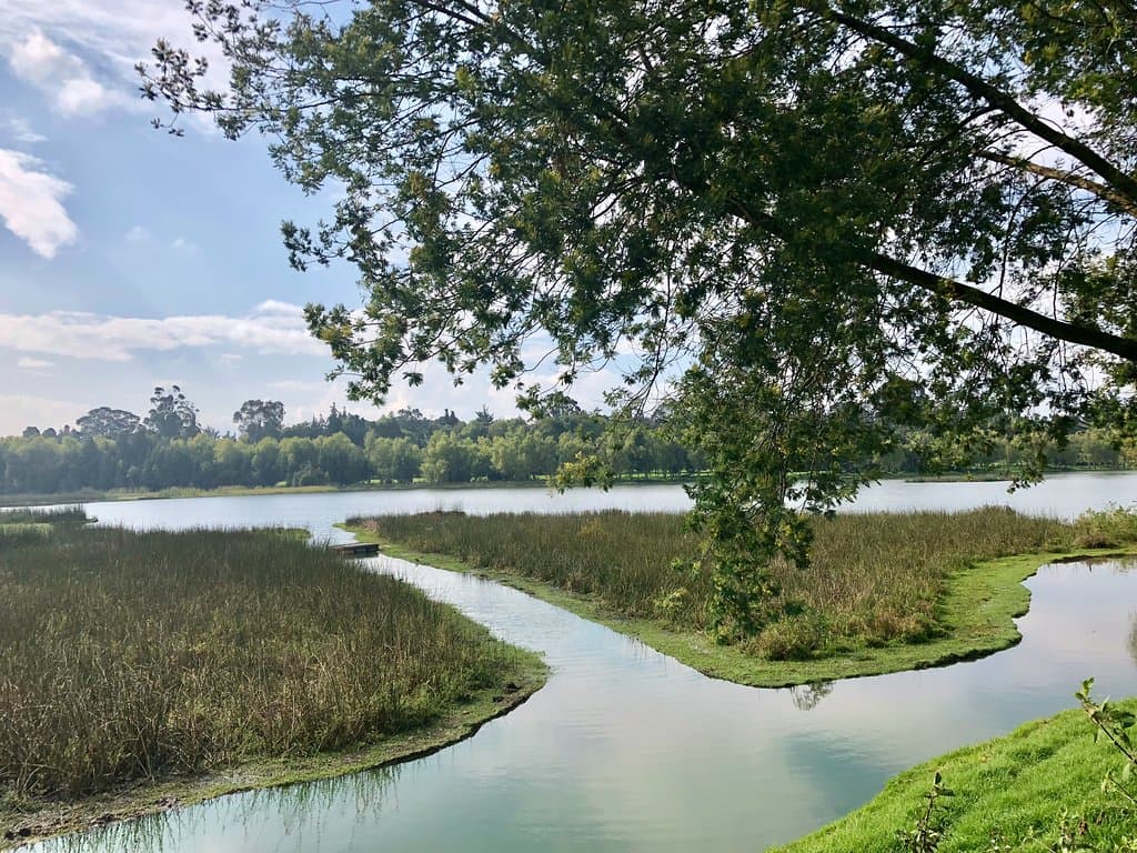 The view when entering the park
