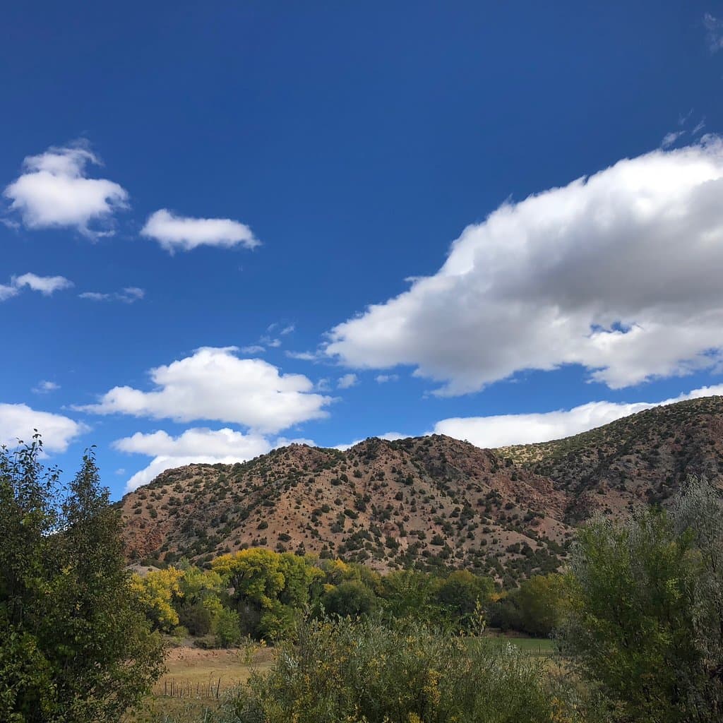 Shrine of Our Lady of Guadalupe