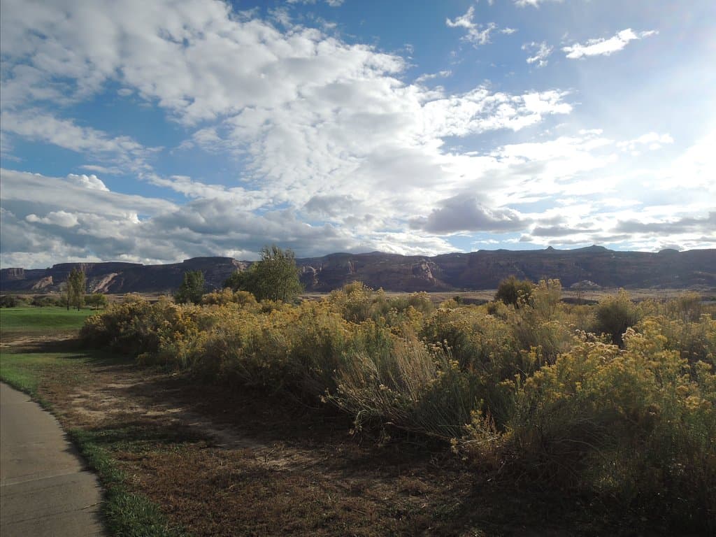 Adobe Creek