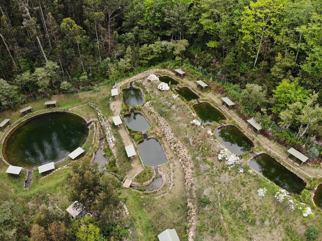 Eagles view . The fishing lagoons (1 to 10 and the big lagoon)