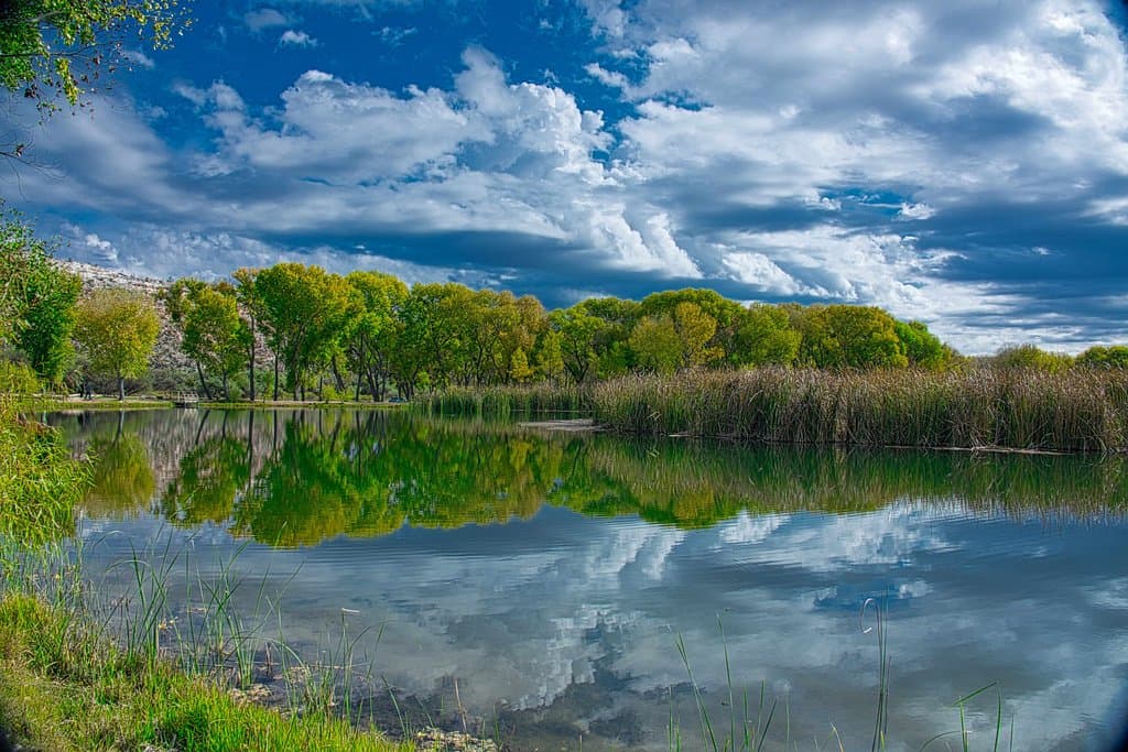 refletions at the lagoon