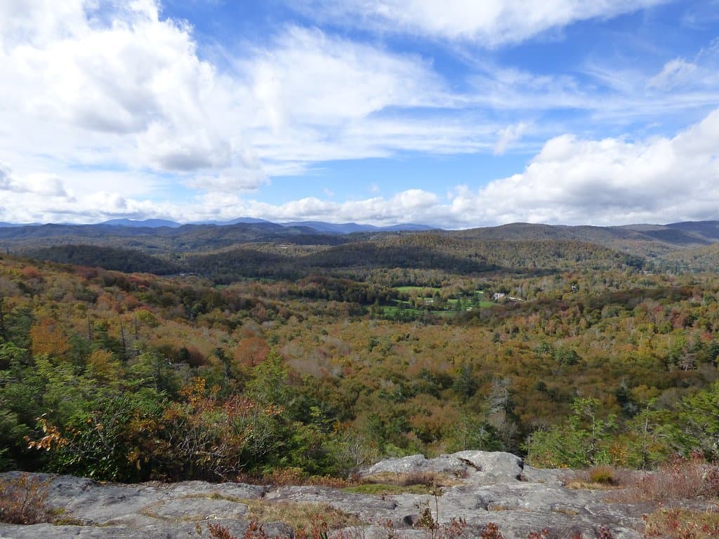 view