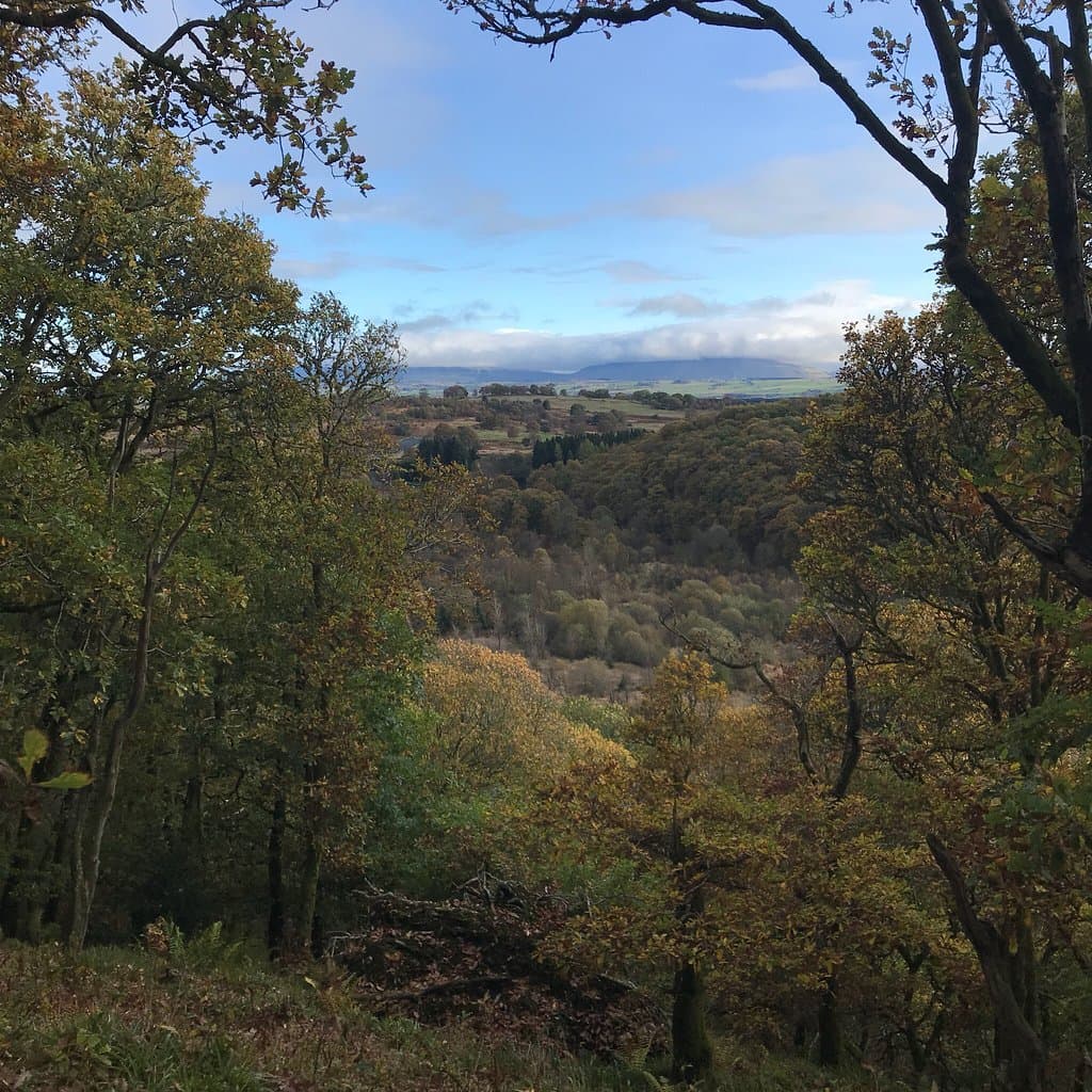 Doon Hill and Fairy Knowe