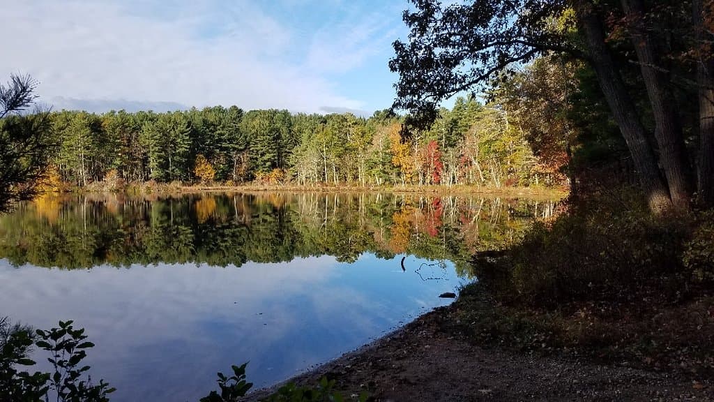 Fall 2018