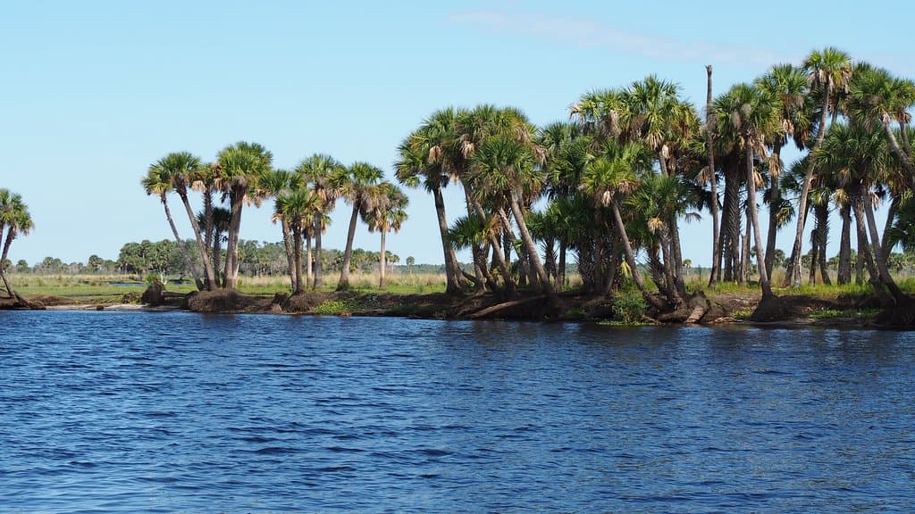 Tosohatchee State Reserve
