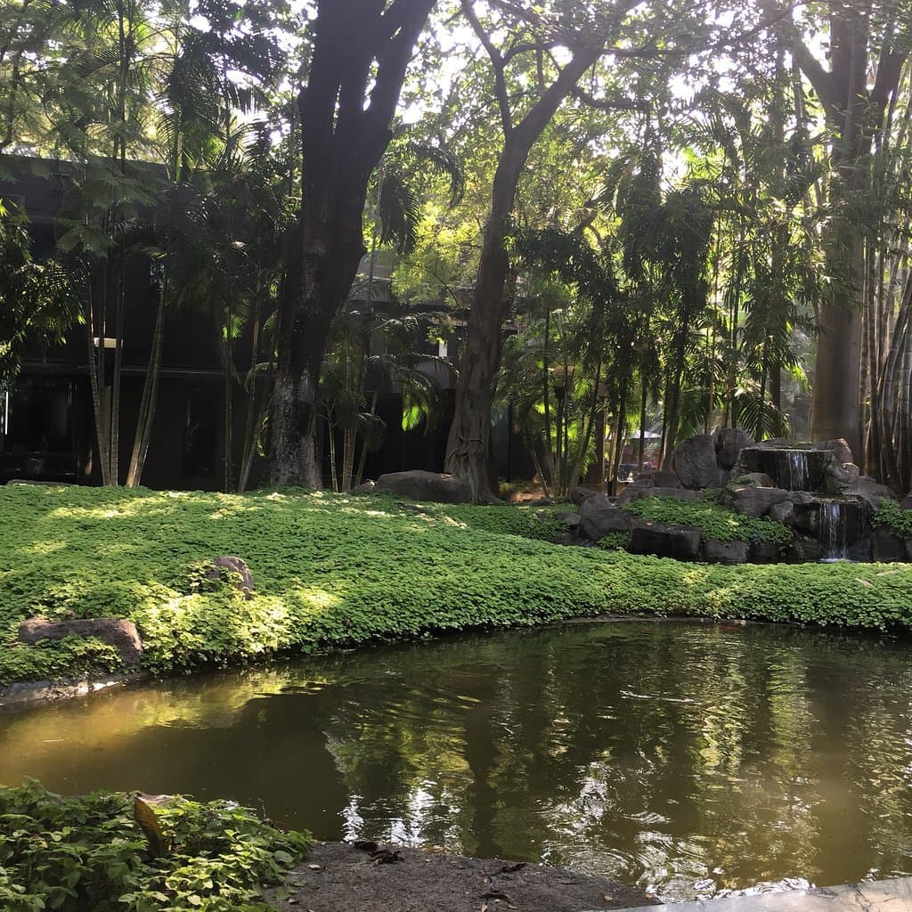 Osho International Meditation Resort
