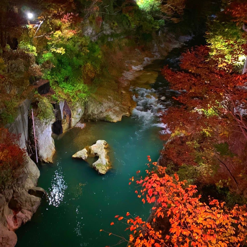 ライトアップされた利根川の紅葉