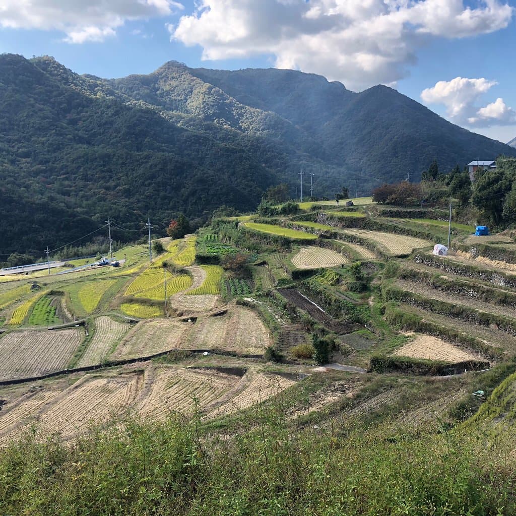 Nakayama Senmaida Terraced Rice Fields