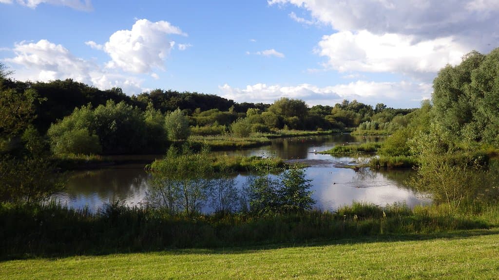 Mill Green Nature Reserve
