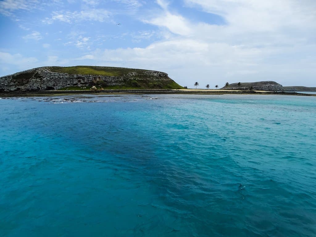 fotos 7 mares mergulho, de abrolhos