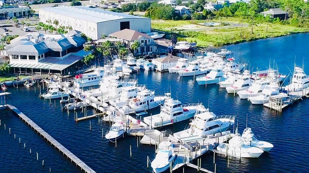 Overview of the marina