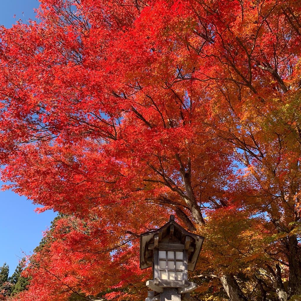 会津松平家初代藩主である保科正之公ゆかりの神社。 紅葉🍁の名所です。