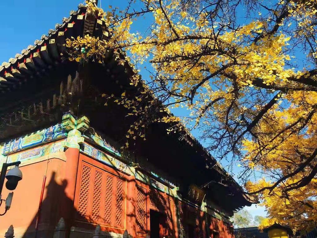 Hongluo Temple Beijing