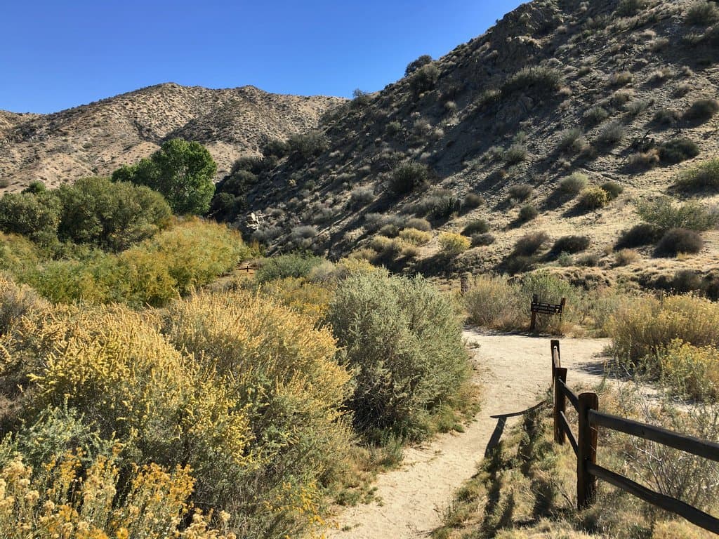 Mountains and trail