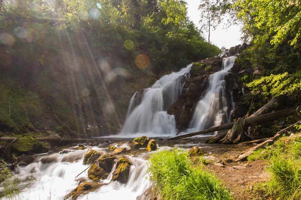 Fairy Creek Falls in Fernie, BC - Photo by Vince Mo/Tourism Fernie