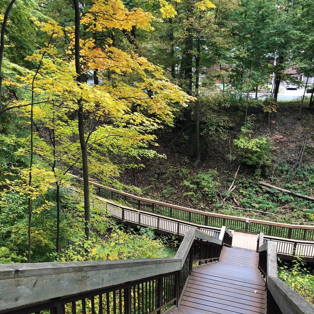 Nordheimer Ravine