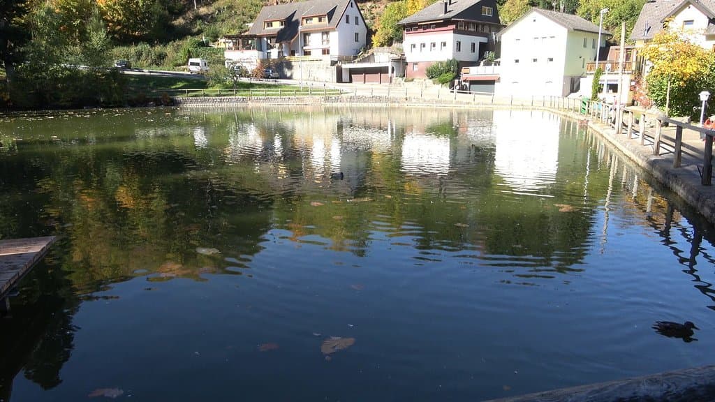 Bergsee 