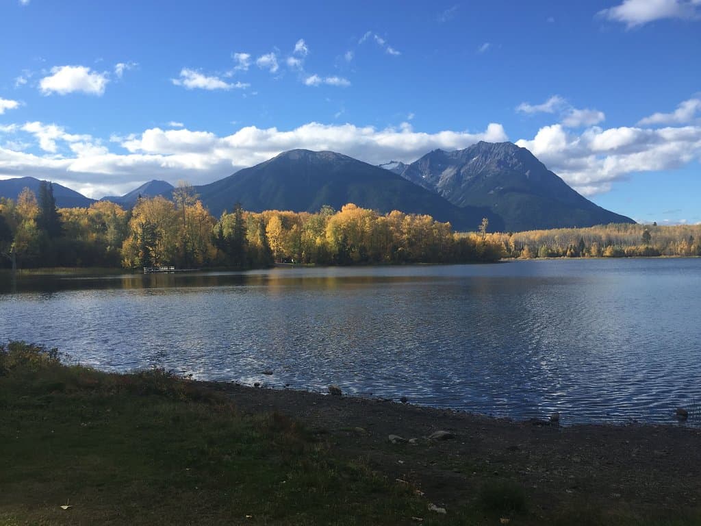 A place to ponder