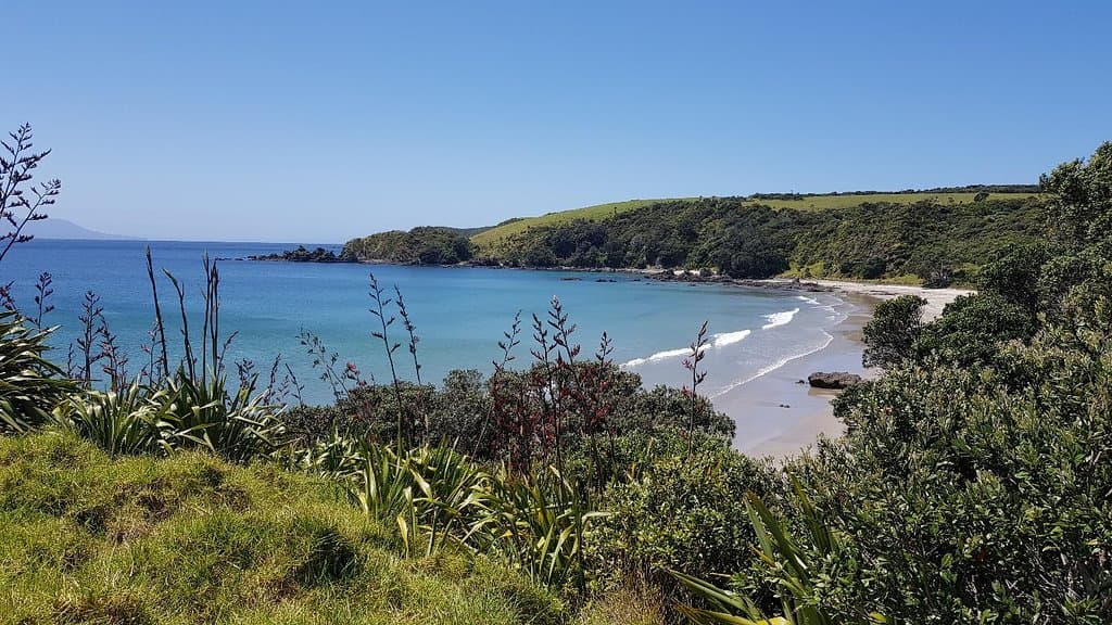 Tawharanui Regional Park Auckland