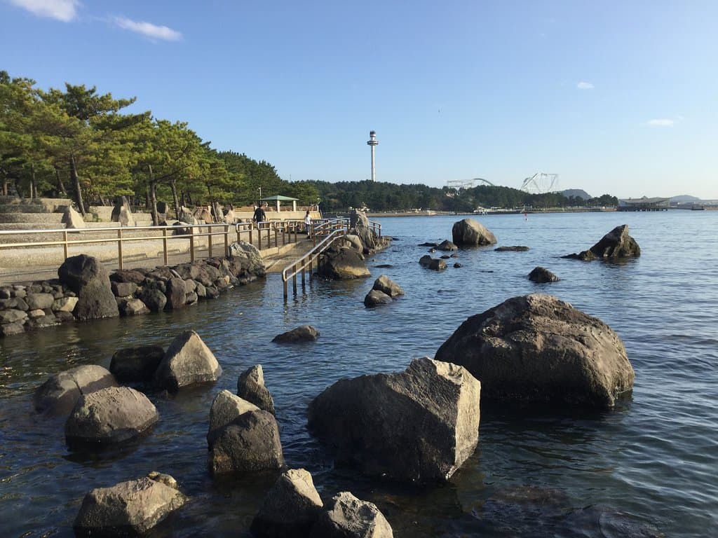 磯遊びが出来そうな場所も