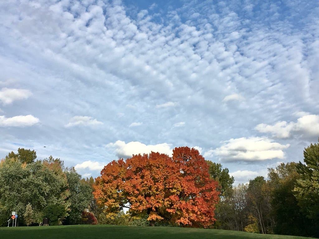 Parc des Prairies