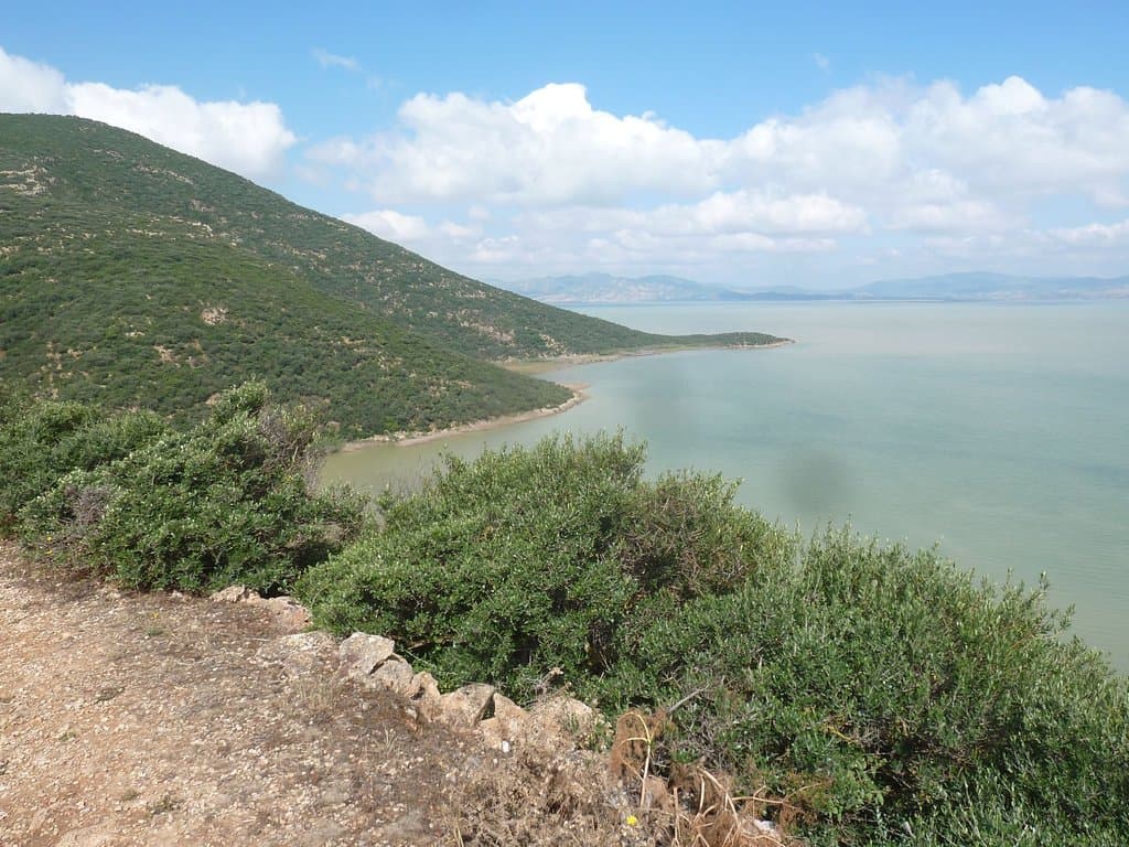 Ichkeul lake