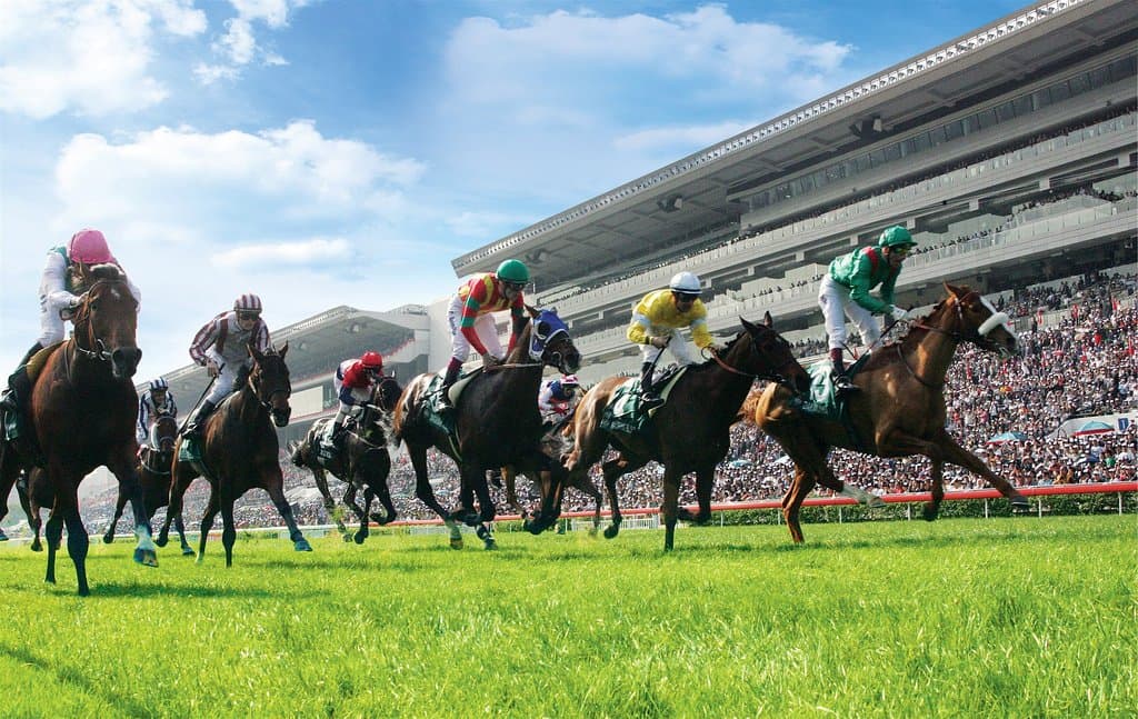 It’s racing season in Hong Kong.  Be sure to catch an event when you’re in town!