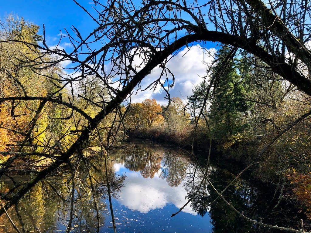Along the trail