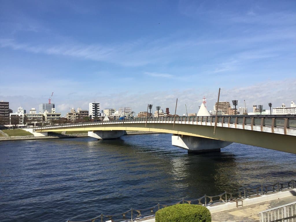 優雅なアーチを描く桜橋