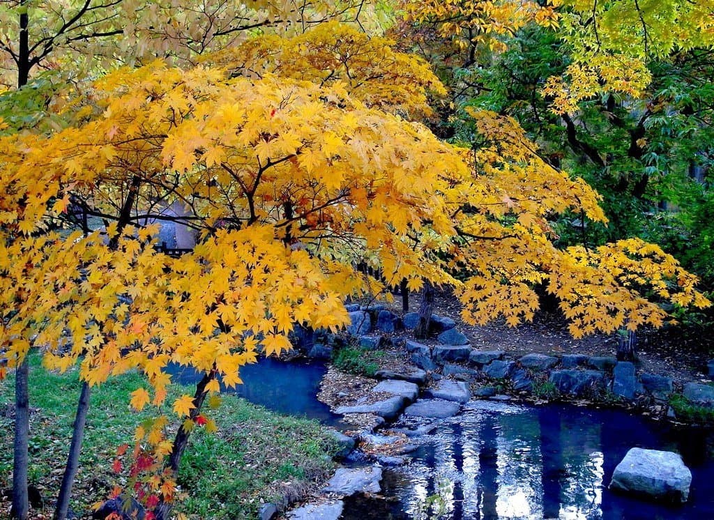 Autumn.