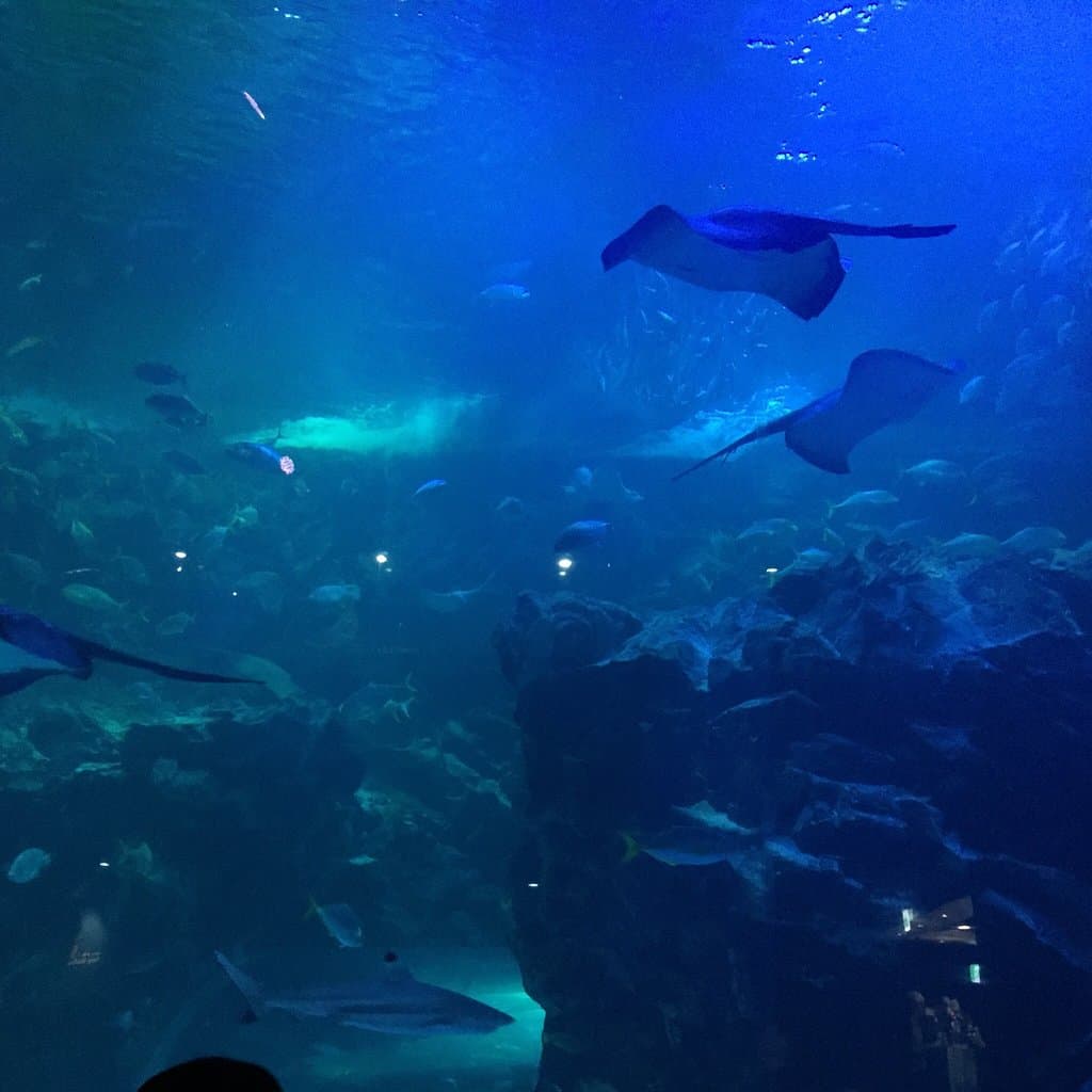 Aqua Planet Ilsan