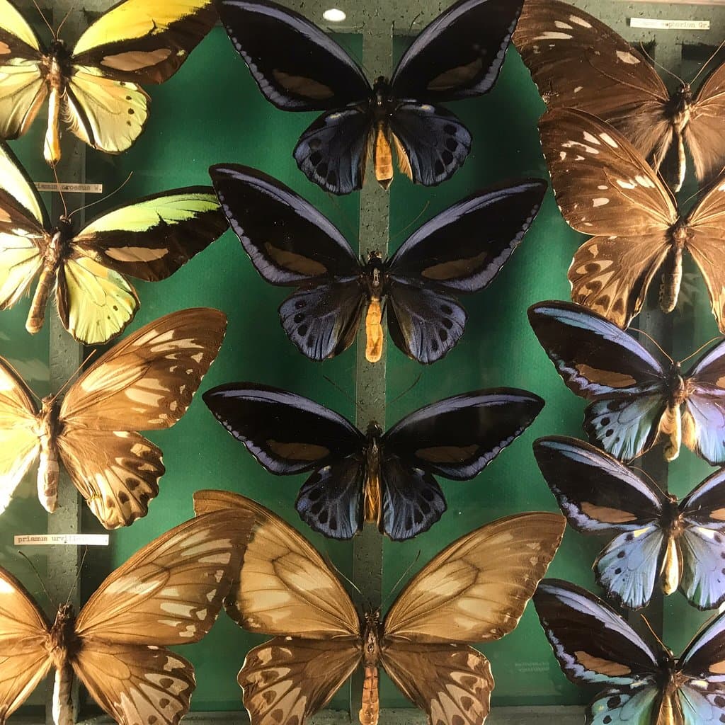 Nature Museum Lucerne