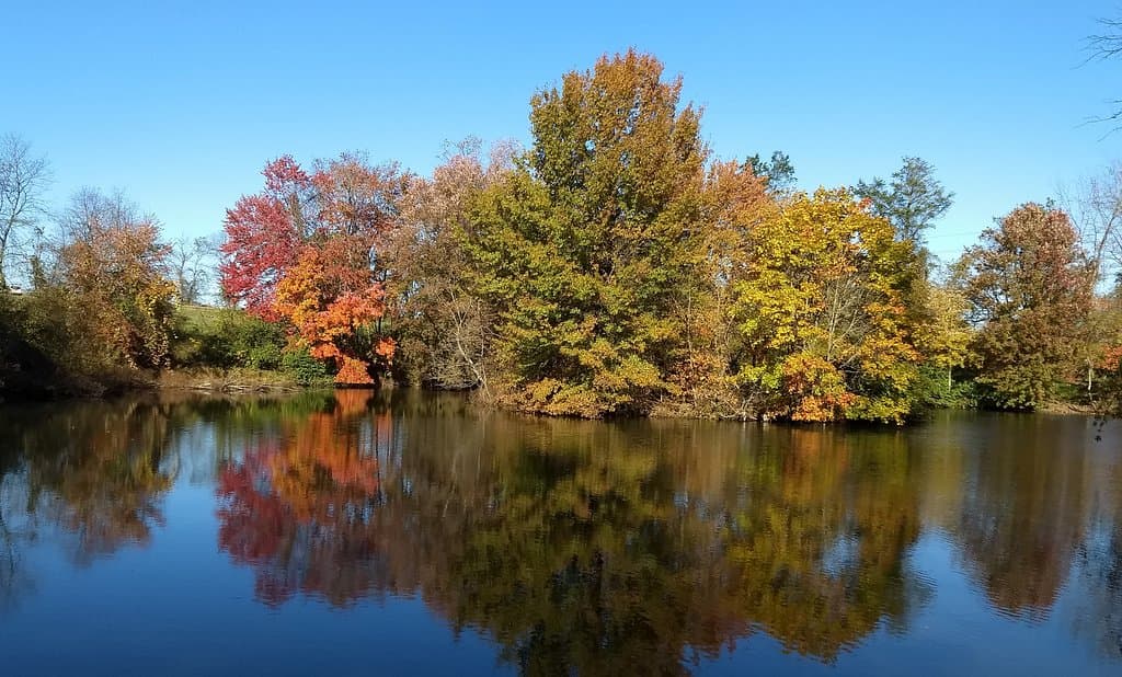 Fishing pond