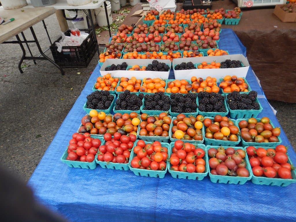 Tomatoes