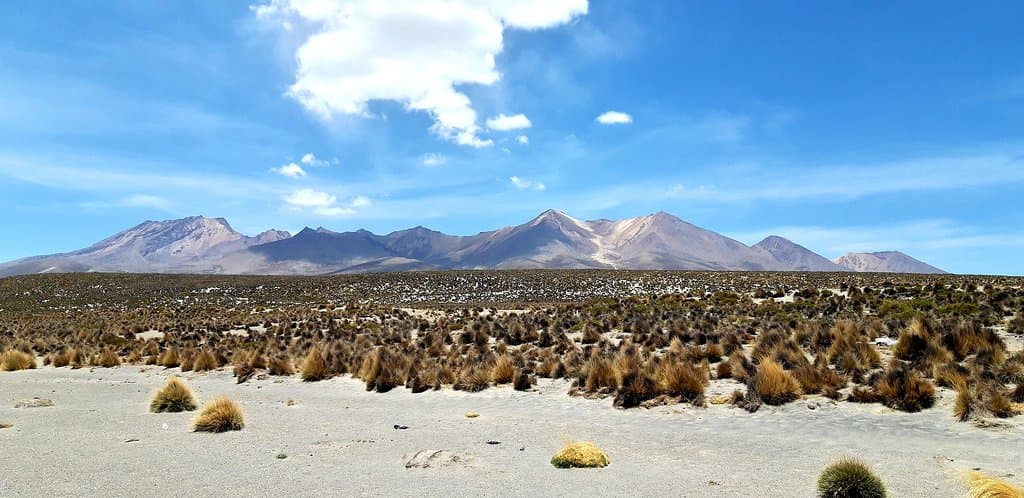 Salinas y Aguada Blanca