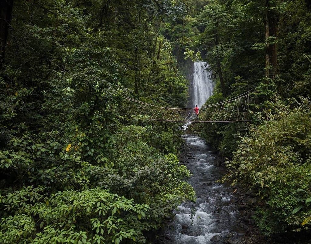 A beautiful hanging bridge adds a little of challenge 