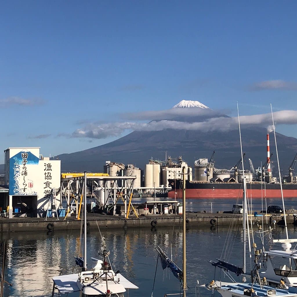田子の浦港の生シラスはスゲェ美味い!でも漁獲量が少ないのでなかなか食べられない 残念‼️
