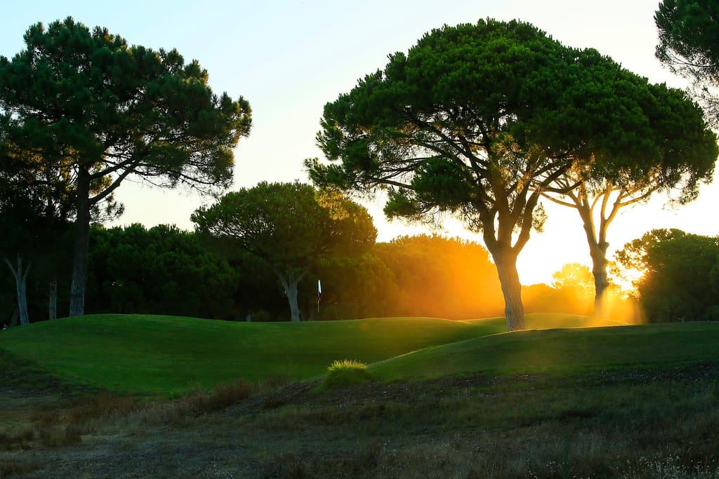 Dom Pedro Pinhal Golf Course