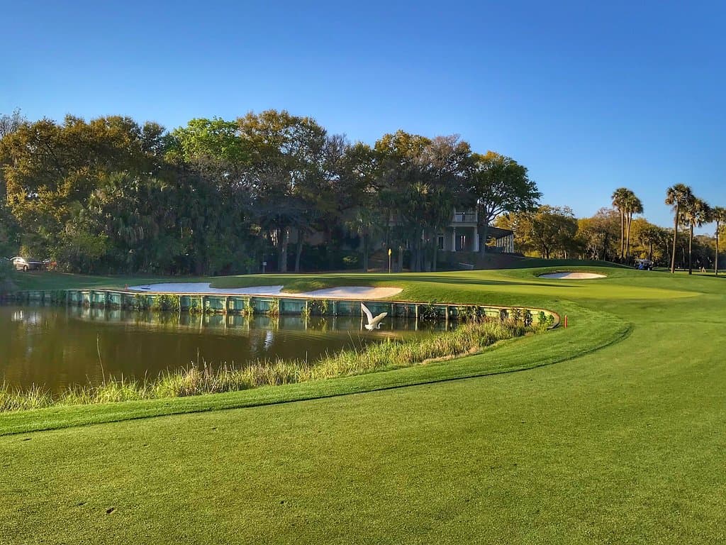 You may not make any birdies on this Nicklaus design, but there is nevertheless plenty of birdlife on Kiawah Island.