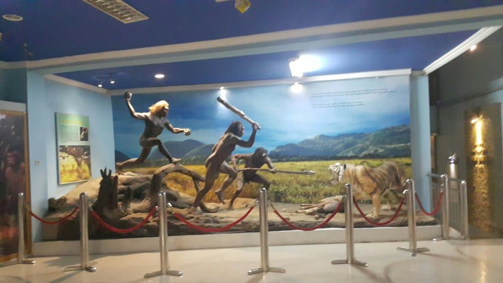 Sangiran Early Man Museum