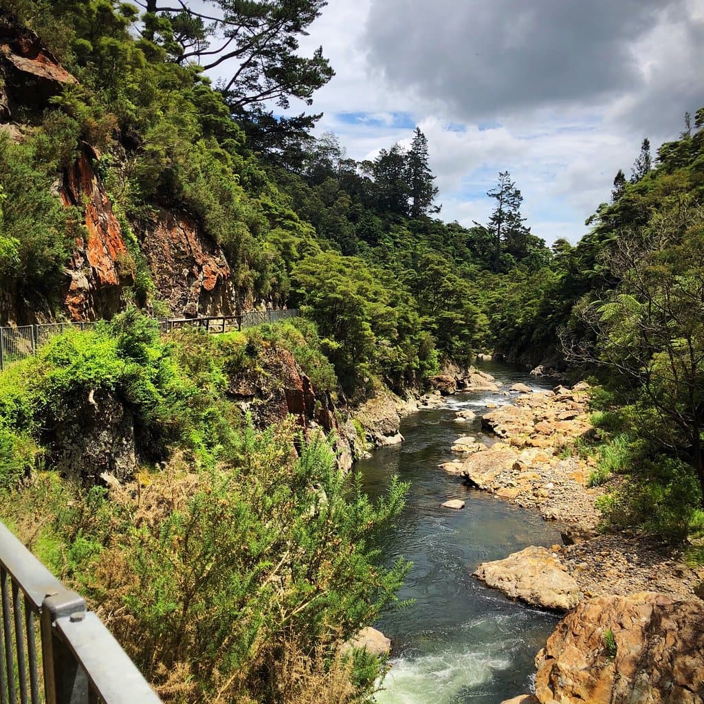 Windows Walk Karangahake