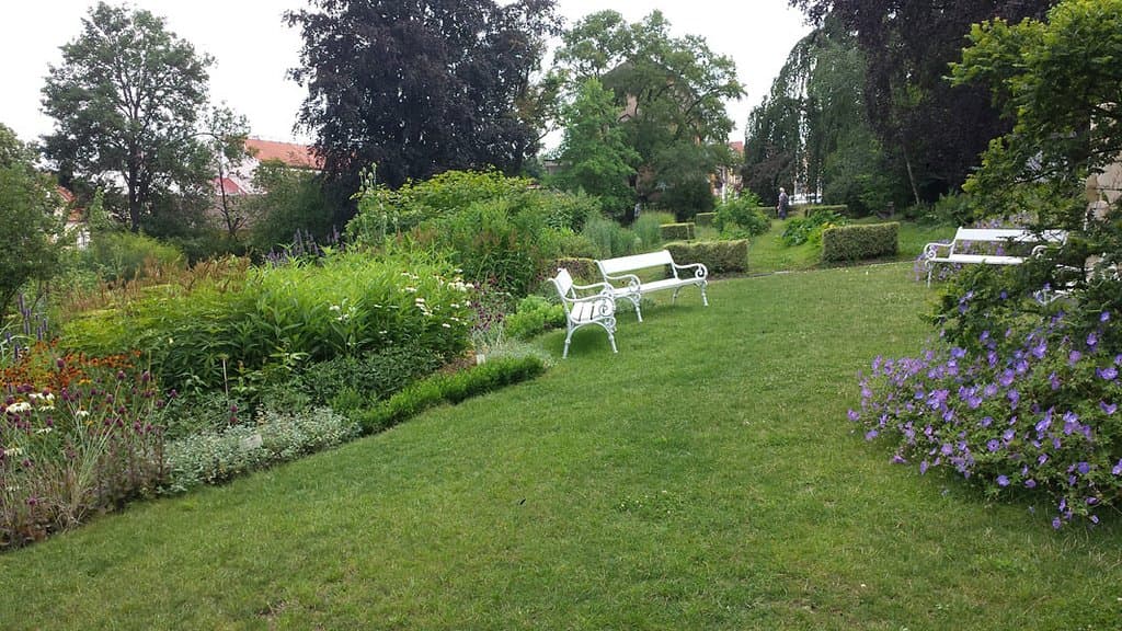 Tabor (CZ), Ogród Botaniczny