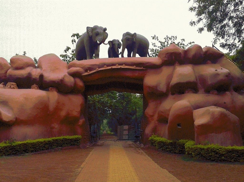 Gate to Safari Ride